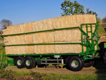 Messengercreation03a079a2 550e 4e6c a4b3 801ef5745d0c