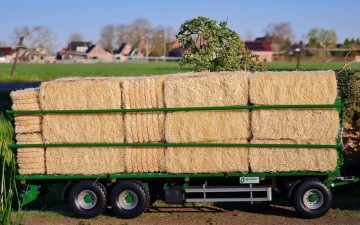 Messengercreationd3825567 5286 4c92 9020 4912a9a29c65